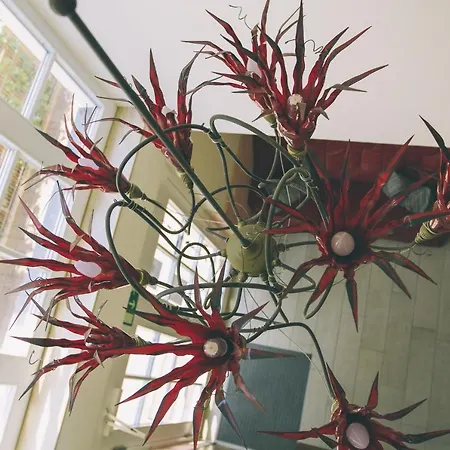 Villa-senta-apartment-5 * Kuehlungsborn